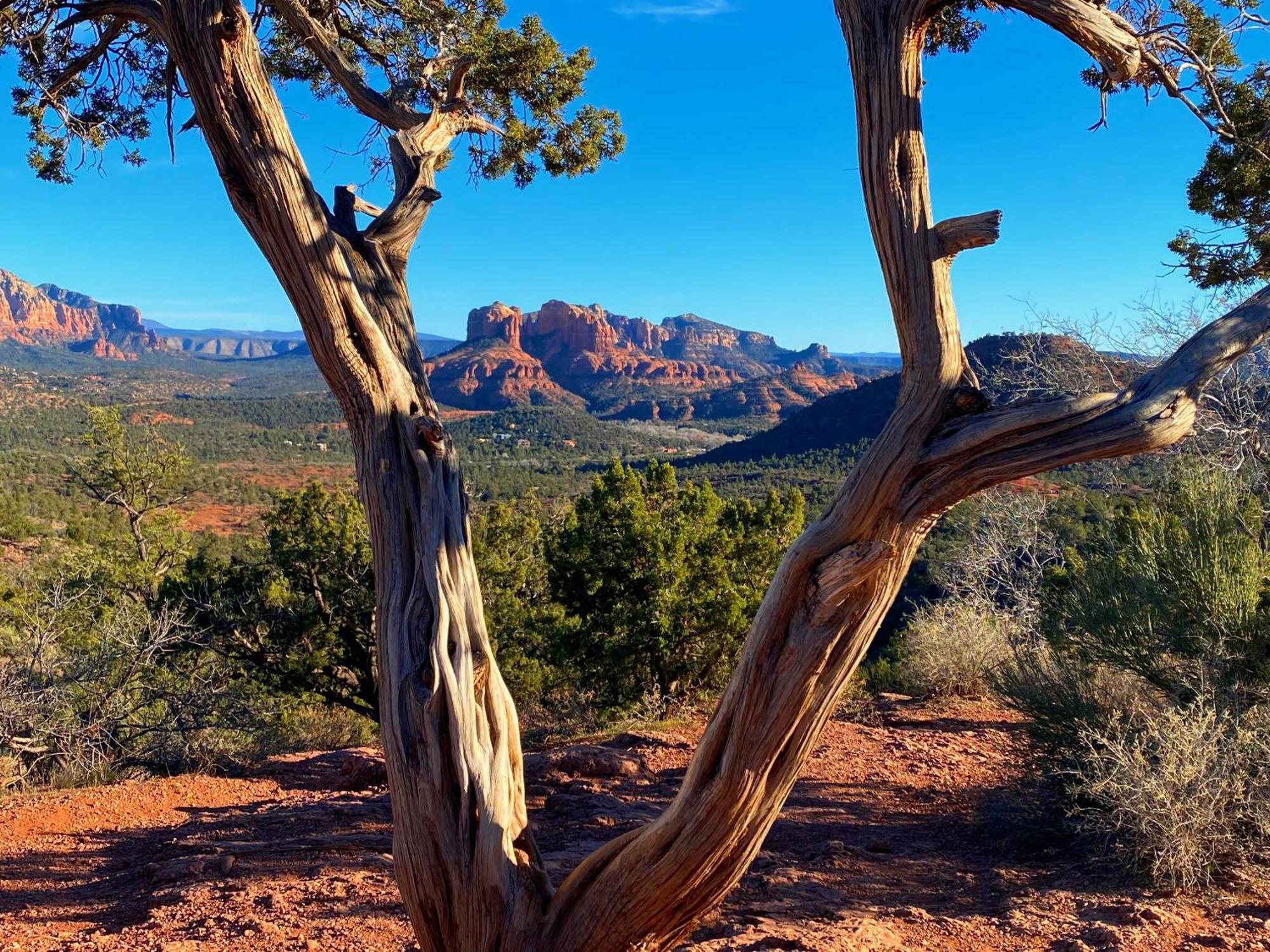 Sedona'S Paradise Found, Saltwater Pool And Hot Tub, Private Oasis! エクステリア 写真